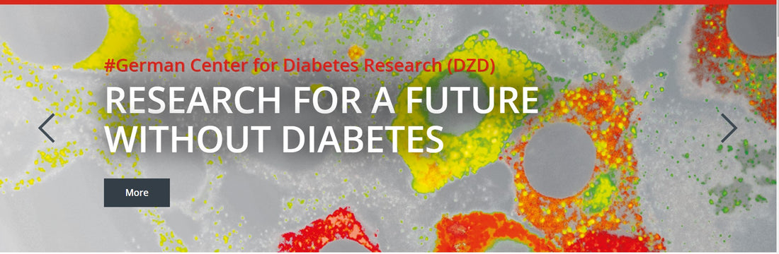 Unveiling the Diversity of Type 2 Diabetes: A Revolutionary Study